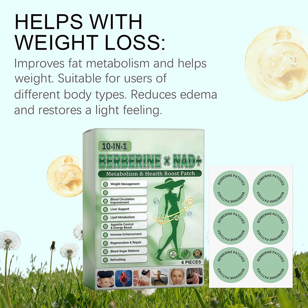 새롭게 업그레이드된 10-in-1 베르베린 x NAD+ - Xbody Health & Wellness 리뷰 및 가격