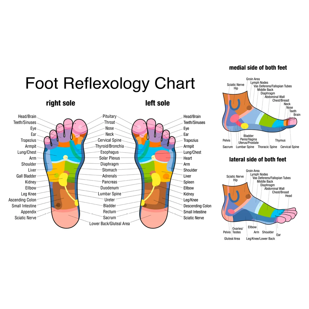 나무 발 마사지 롤러는 피로 발 통증과 발바닥 근막염을 - Reflexology Foot Roller 리뷰 및 가격
