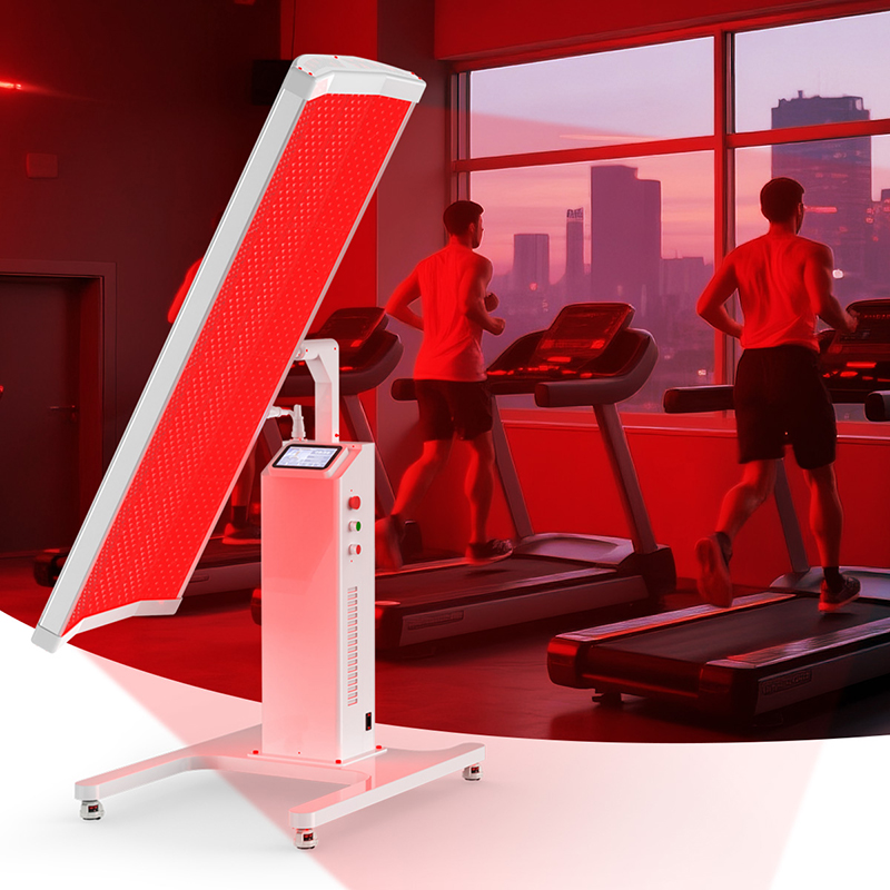 수이제코 OEM 장수 건강 관리 LED 광선 치료기 6 - Longevity Health & Wellness Hotel Adults Only 리뷰 및 가격