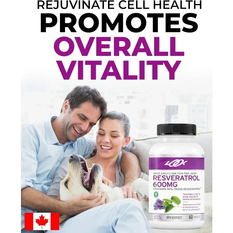 활성 레스베라트롤 보충제 캡슐 600mg - 강력한 항 - Longevity Health & Wellness Hotel Adults Only 리뷰 및 가격