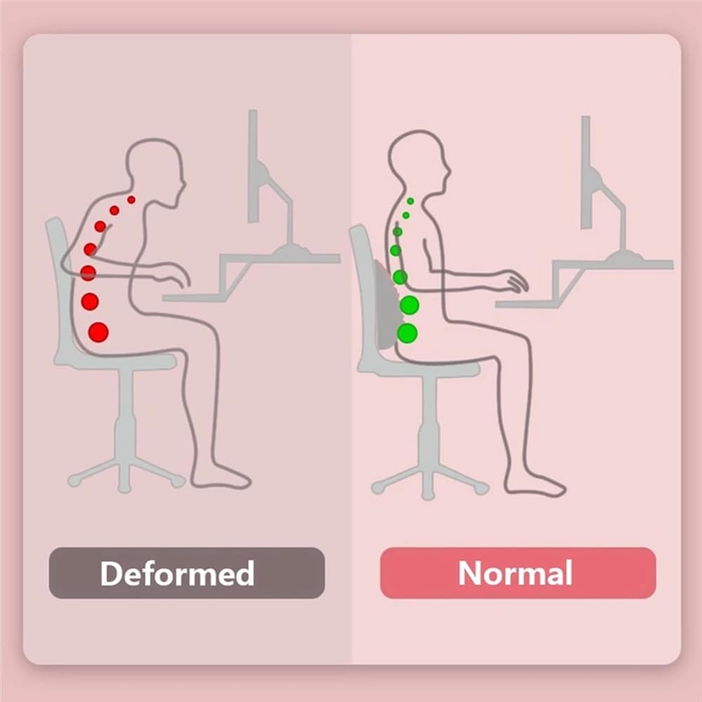 요가 등 트레이너 요추 지지 자세 교정 베개 쿠션 쉐이 - Back Stretcher Lumbar 리뷰 및 가격