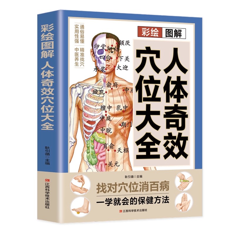 경혈 마사지 및 TCM 건강 보존 가이드, 전통 중국  - Health & Wellness Fair 2025 리뷰 및 가격